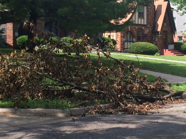 Kansas City Storm Debris